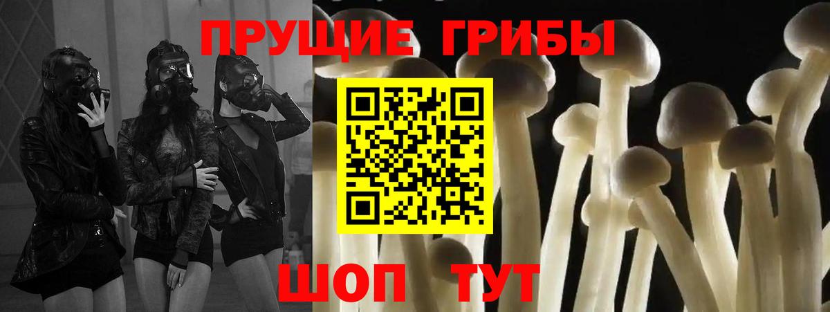 Барнаул  Галлюциногенные грибы GOLDEN TEACHER  Вход с VPN 